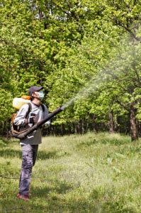 The need for Spraying Trees