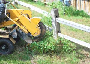 5 Ways a Homeowner Can Remove Unsightly Stumps