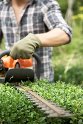 Trimming Your Hedges: Why Do It At All?