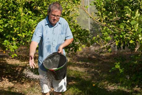 Tips for Helping Trees Survive Transplant Shock