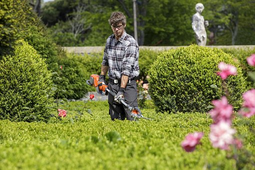 Hedge Trimming Service in Richmond Hill