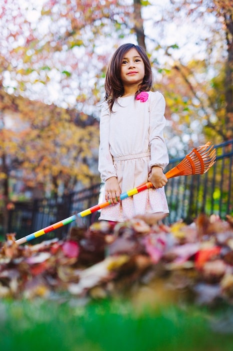Tips to Rake Leaves This Fall Toronto and the GTA