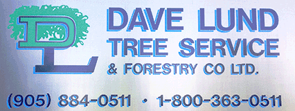 Dave Lund Tree Service and Forestry Co Ltd. Logo