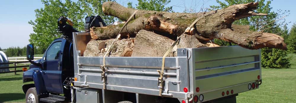 Tree Service Truck - Dave Lund Tree Service and Forestry Co Ltd.