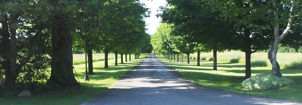 Tree Image Slideshow Dave Lund Tree Service and Forestry