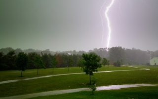 The Dangers of Trees during Storm