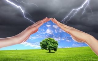 Protecting Trees from the Storm