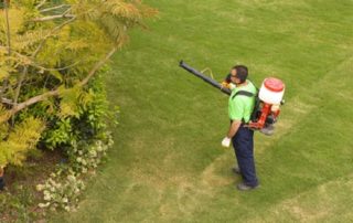 Using Anti-desiccants to Protect Trees from the Cold