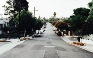 More Trees Indicate Better Neighbourhood Health, Income, Study Says