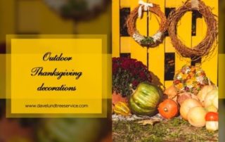 decorating ideas