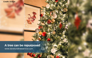 tree that can be repurposed