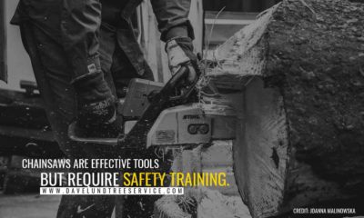 The Facts About Arborist Safety Training - Dave Lund Tree Service and ...