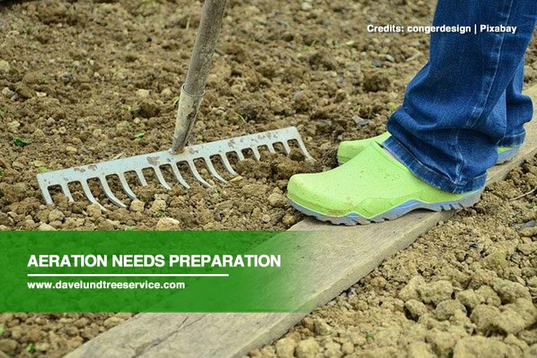 Aeration: Why Your Garden Needs It and How to Do It Right