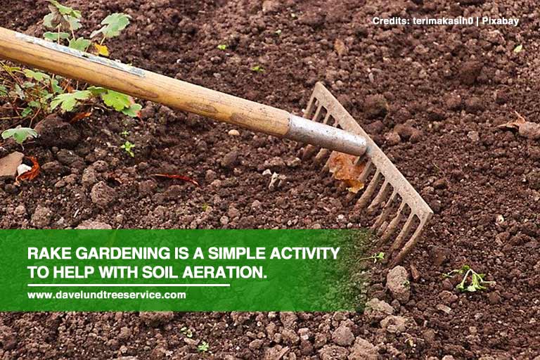 Aeration: Why Your Garden Needs It and How to Do It Right