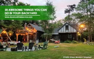 20 Awesome Things You Can Do in Your Backyard