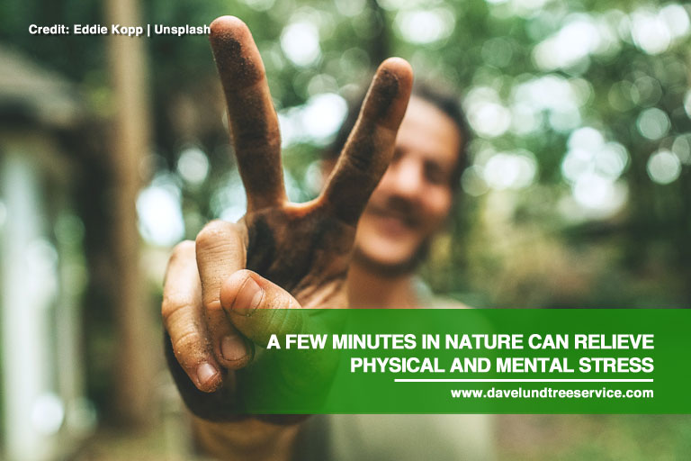 A few minutes in nature can relieve physical and mental stress