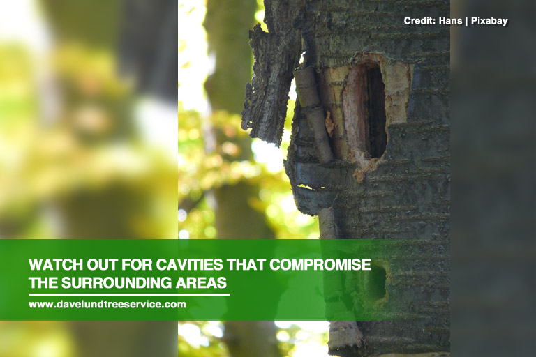 Watch out for cavities that compromise the surrounding areas