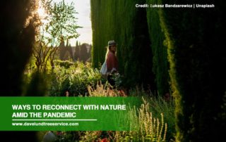 Ways to Reconnect with Nature Amid the Pandemic