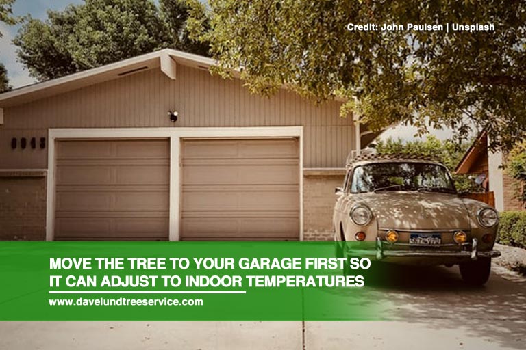 Move the tree to your garage first so it can adjust to indoor temperatures