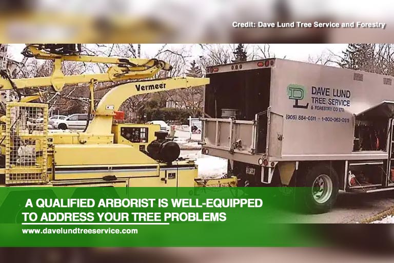 A qualified arborist is well-equipped to address your tree problems