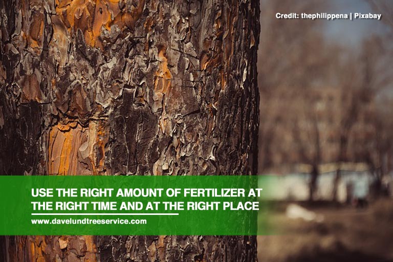 Use the right amount of fertilizer at the right time and at the right place