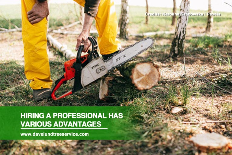 Hiring a professional has various advantages