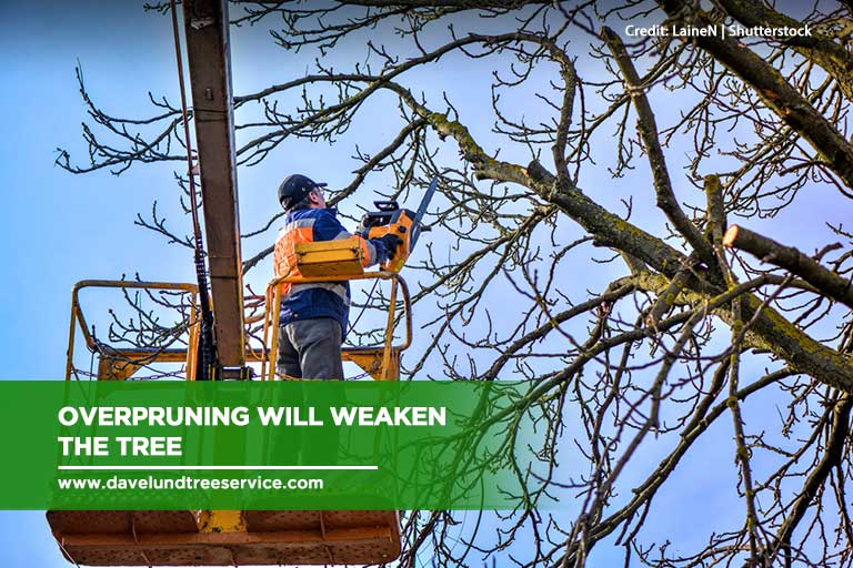 Overpruning will weaken the tree