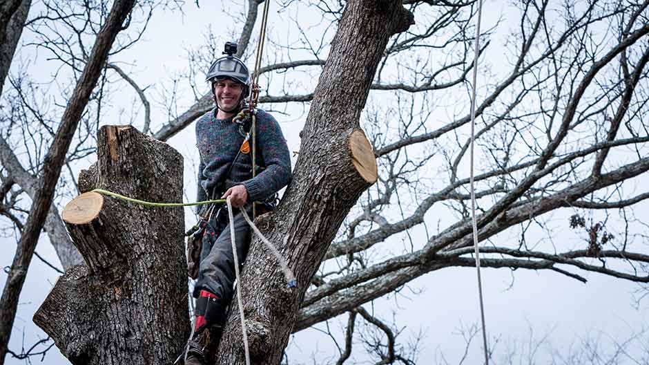 Your Local Tree Service in Markham that Delivers