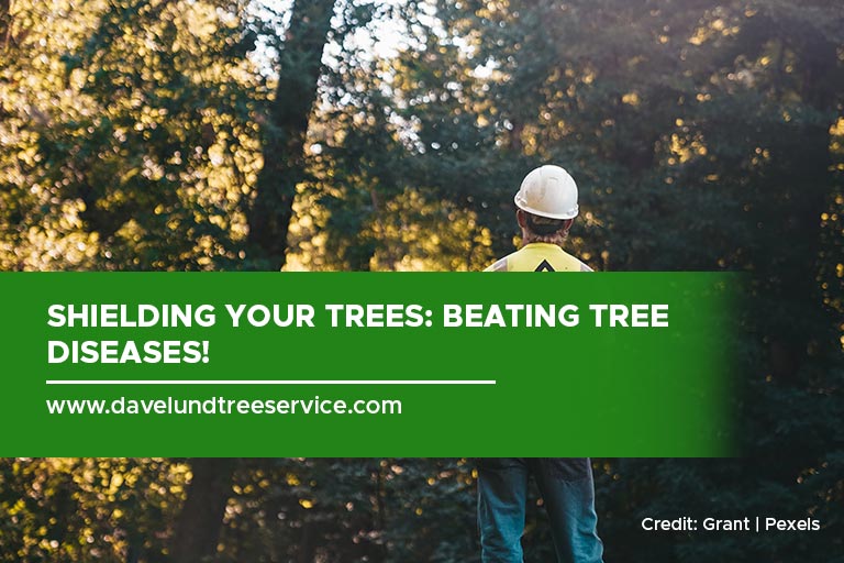 Shielding Your Trees Beating Tree Diseases!