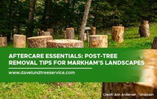 Turn your wood chips into mulch for your garden