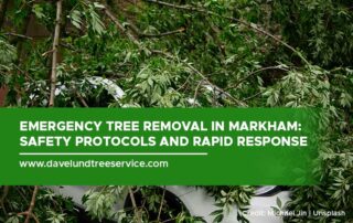 Emergency Tree Removal in Markham: Safety Protocols and Rapid Response Strategies