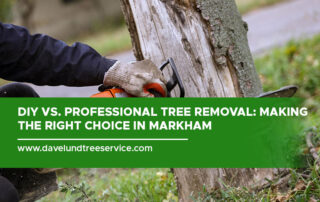 DIY vs. Professional Tree Removal Making the Right Choice in Markham