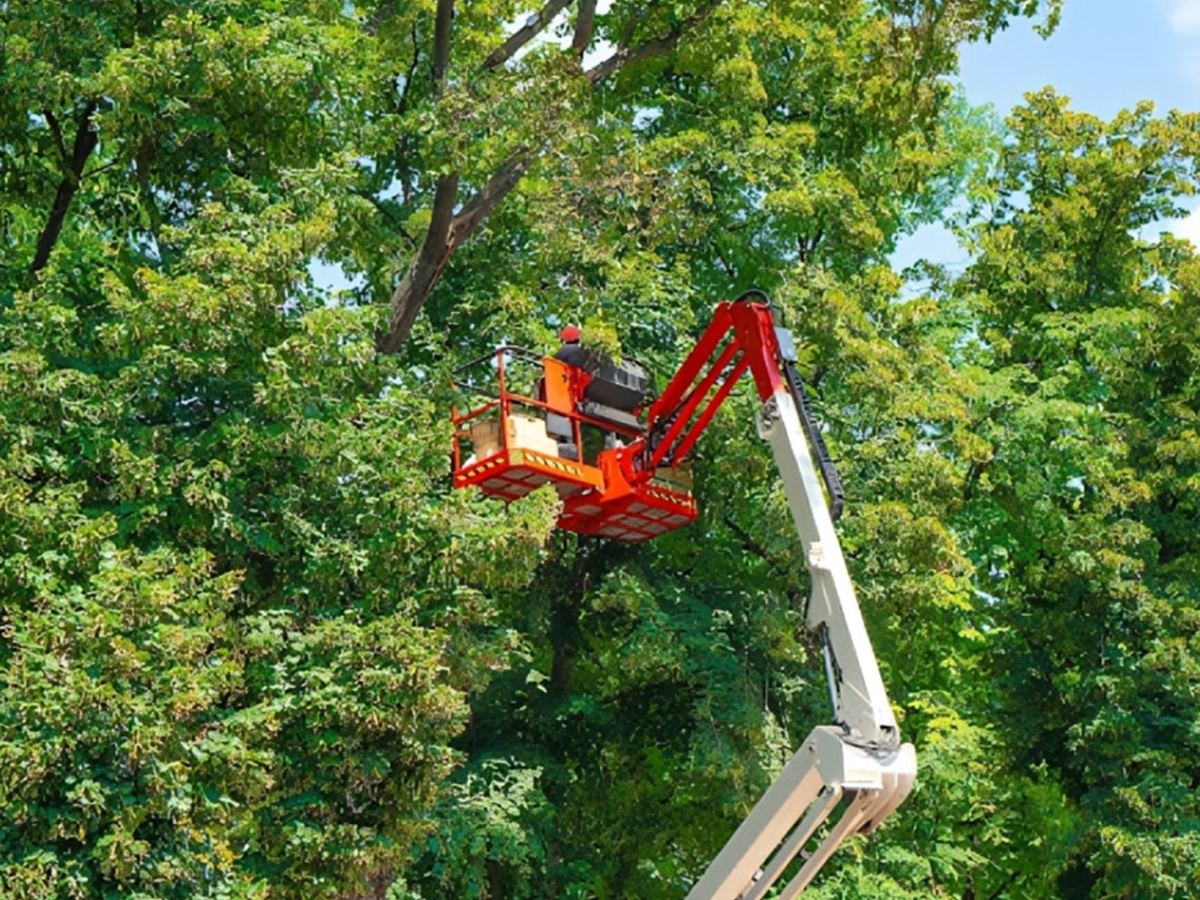 Experts-have-access-to-the-right-tools-and-equipment
