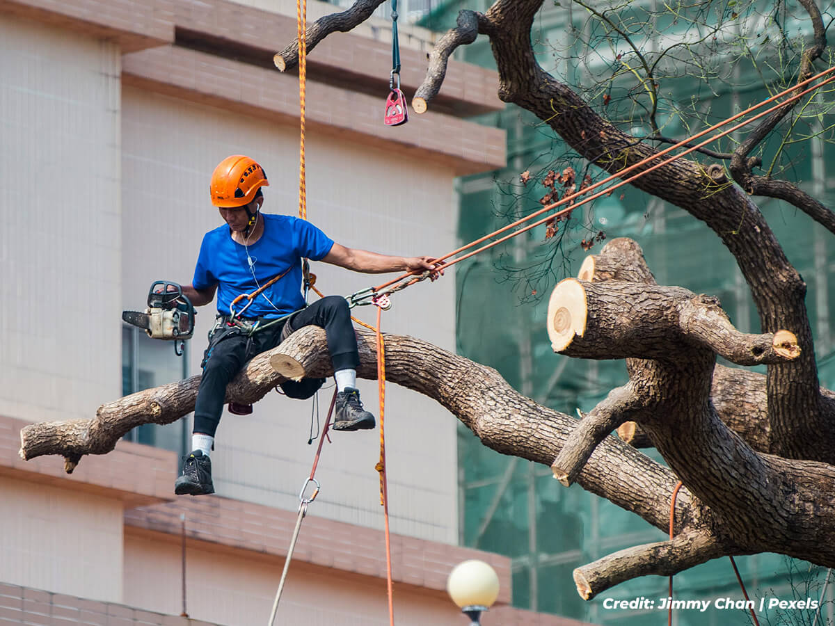 Reducing-Risk-of-Damage-and-Hazards
