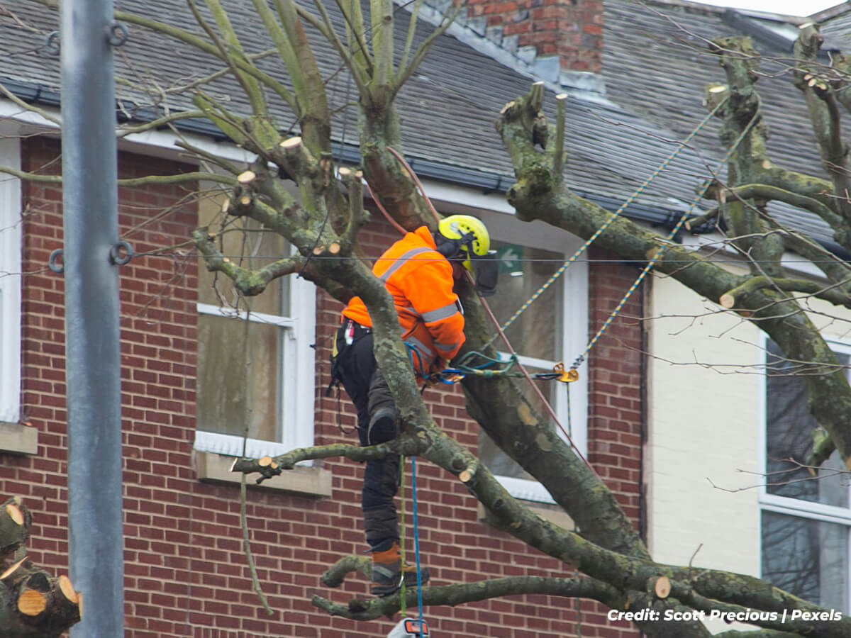 Safety-and-Risk-Managemen