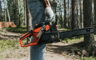 Why-Your-DIY-Tree-Care-Might-Be-Doing-More-Harm-Than-Good