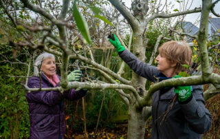 Beyond-the-Bloom-Your-Year-Round-Guide-to-Optimal-Tree-Health