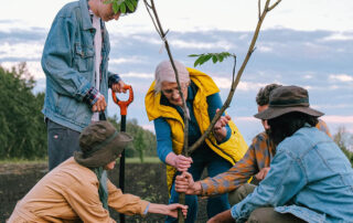 Beyond-the-Hole-Expert-Strategies-for-Thriving-Trees-in-Your-Landscape