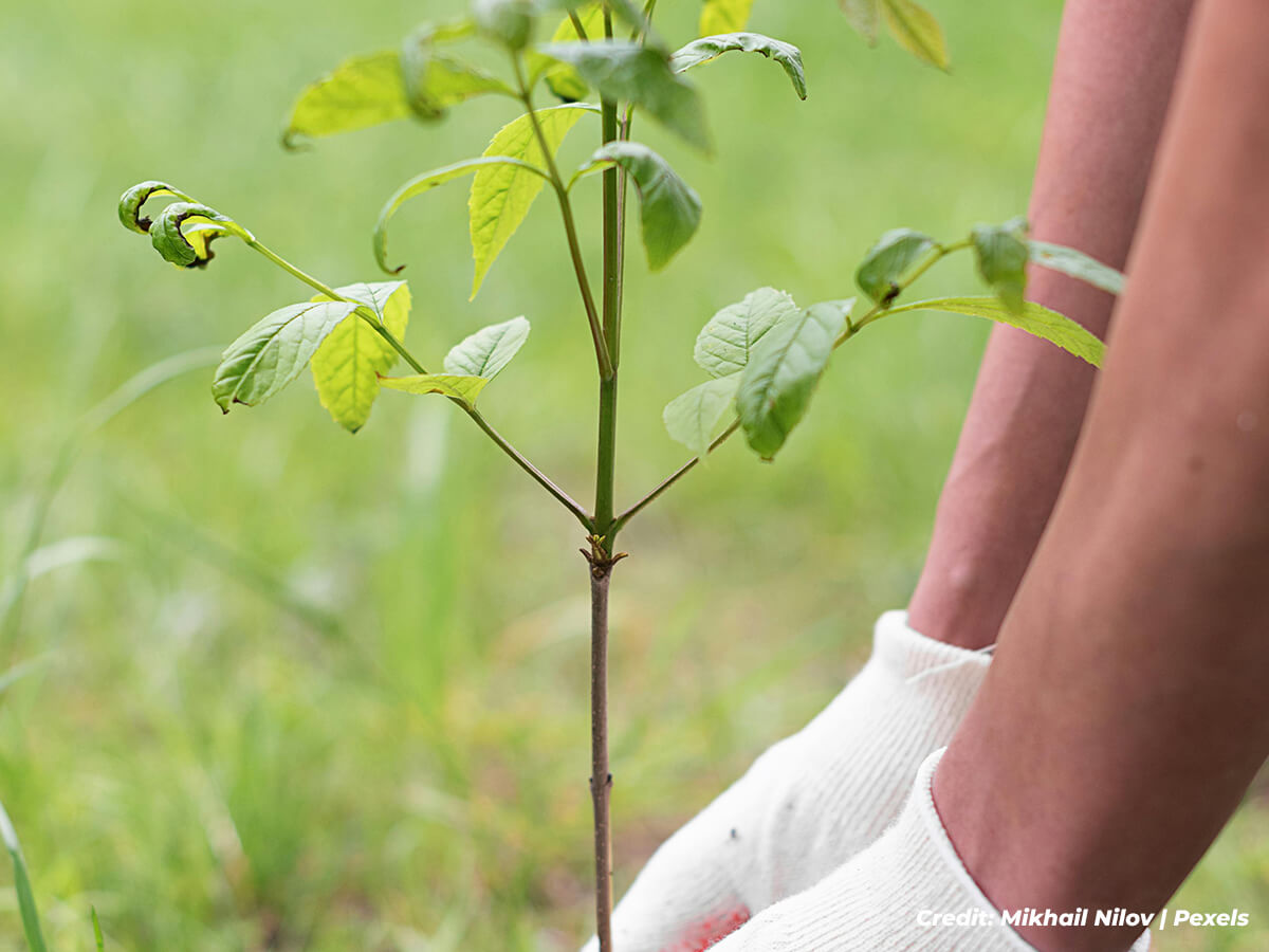 Soil-Health-The-Invisible-Ecosystem