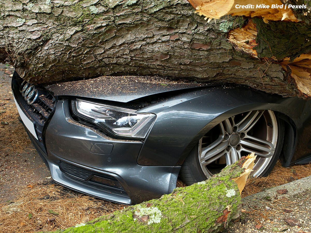 Storm-or-Weather-Damage