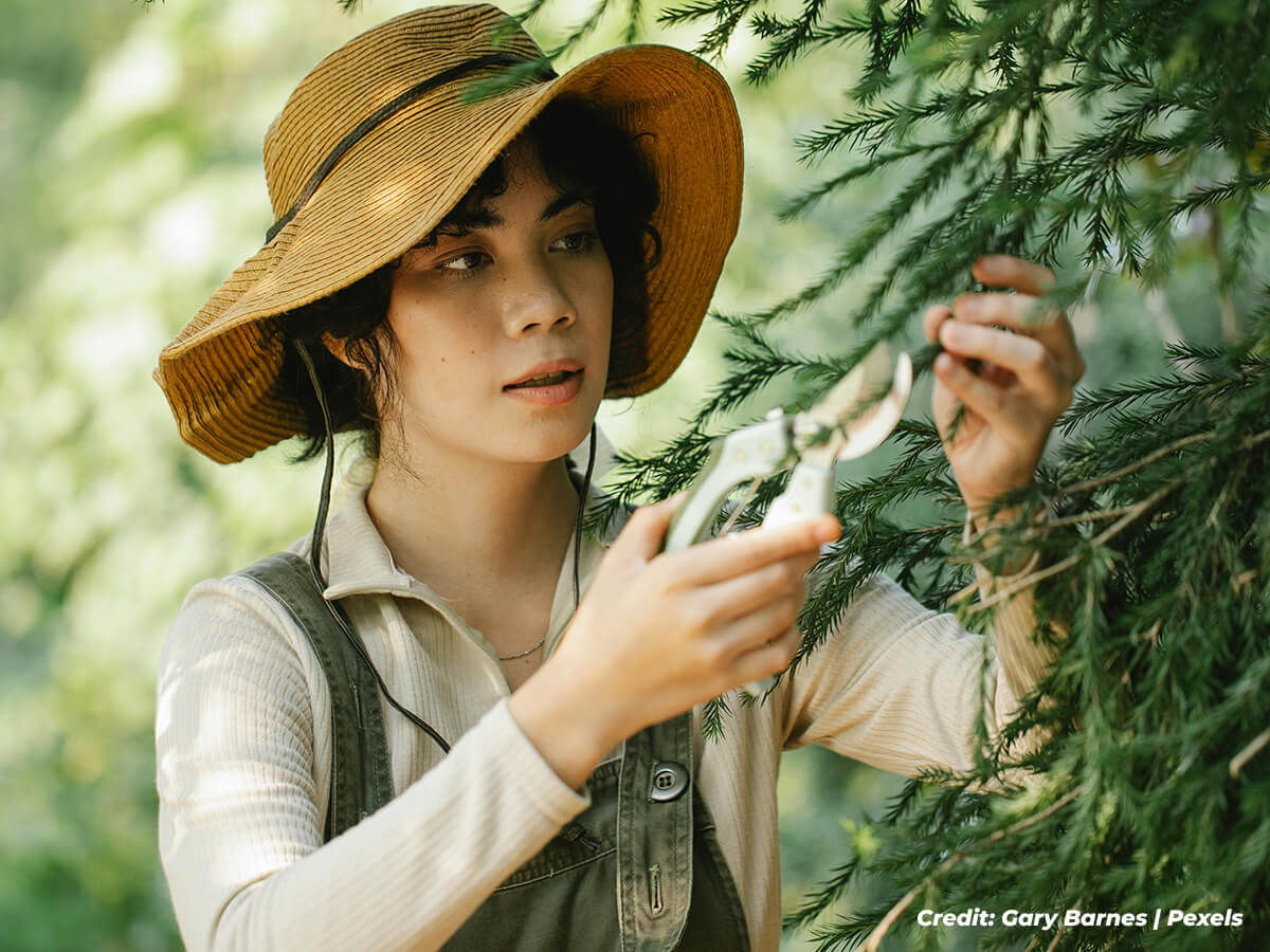 The-Art-of-the-Cut-Key-Pruning-Techniques
