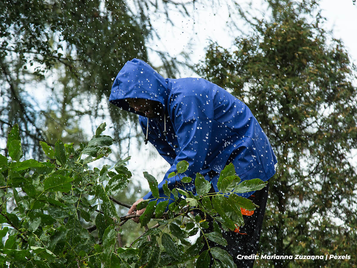 Timing-is-Everything-A-Seasonal-Guide