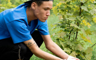 The-First-Yar-Factor-Essential-Care-for-Your-New-Tree's-Survival