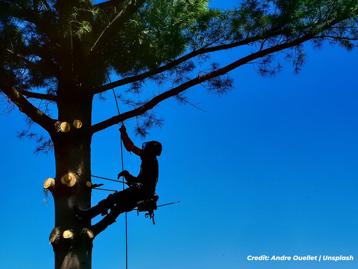 The-Importance-of-Professional-Installation-Not-a-DIY-Endeavour