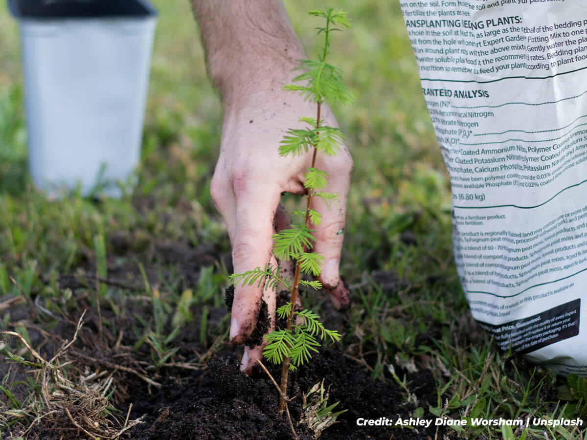 The-Power-of-Observation-Your-Weekly-Inspection
