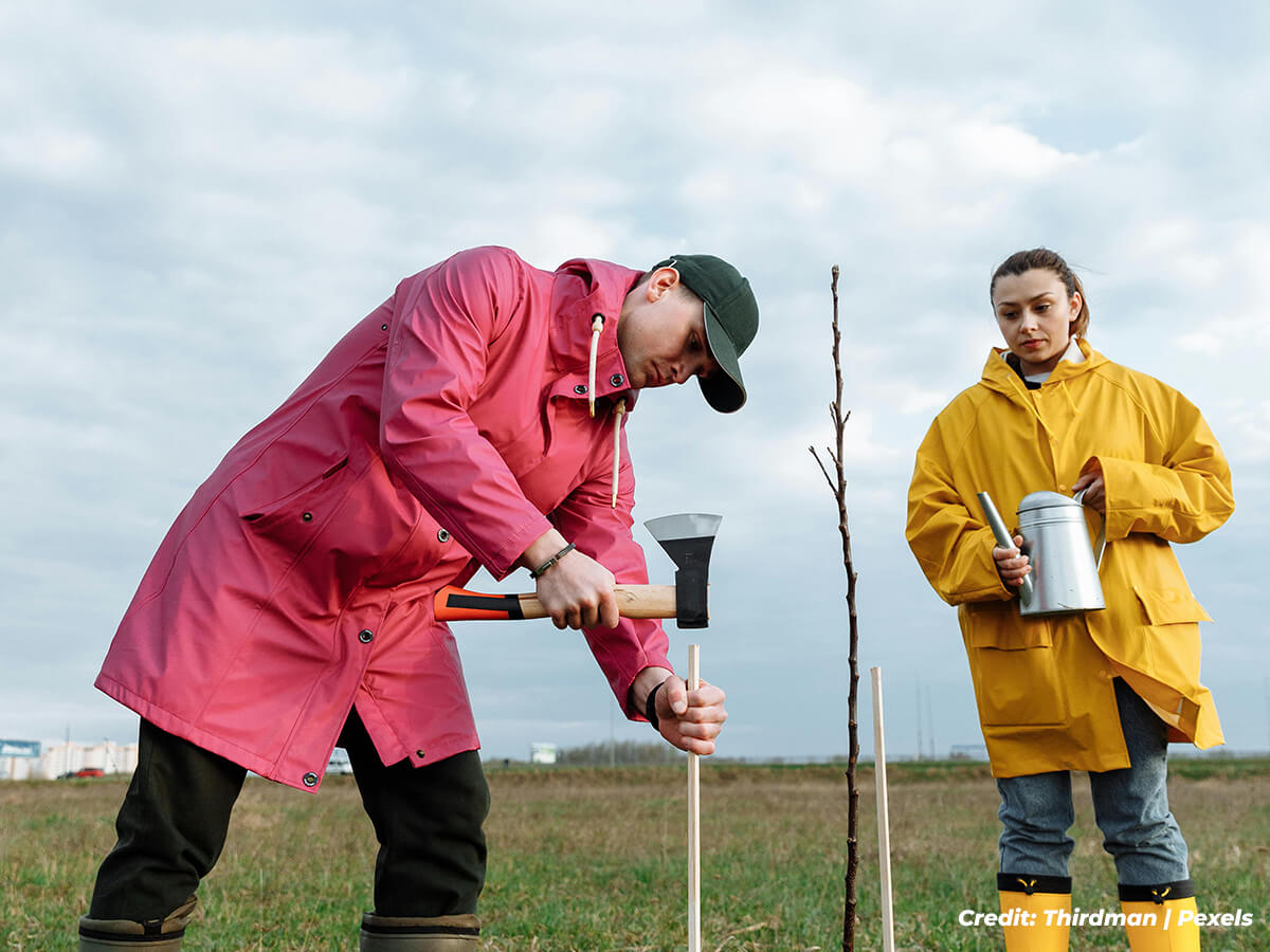 To-Stake-or-Not-to-Stake-A-Question-of-Support