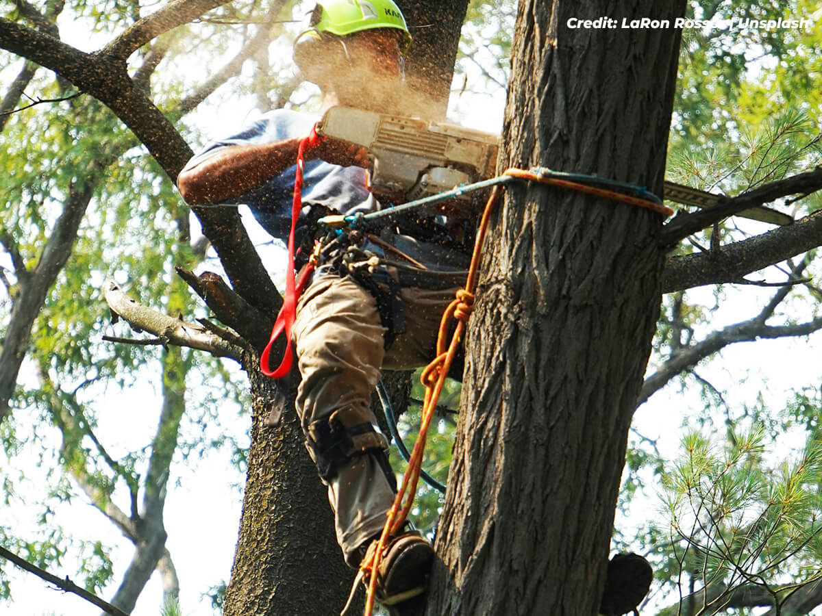 Close-to-Play-Areas-or-High-Traffic-Zones