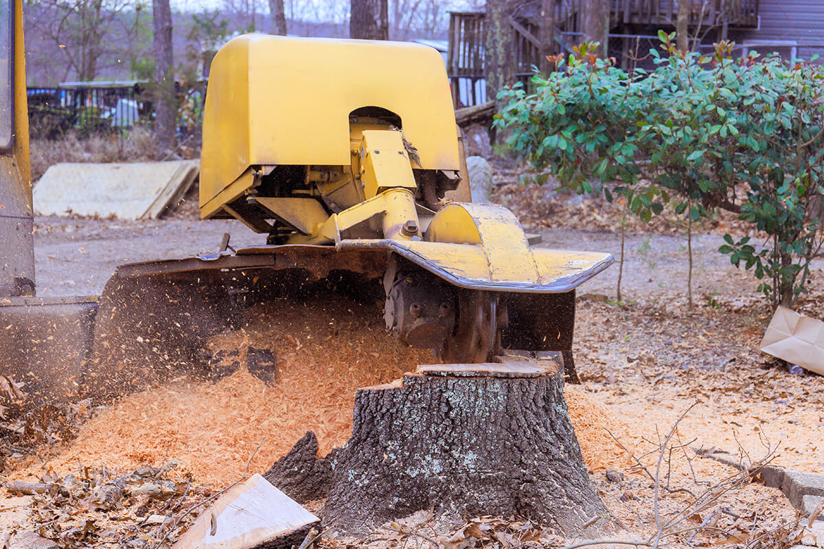 Considerations-Before-Proceeding