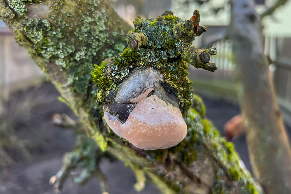 Early-Warning-Signs-That-Should-Not-Be-Ignored