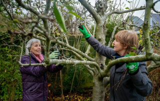 The-Countdown-to-Cold-5-Essential-Last-Minute-Tree-Care-Before-the-Snow-Flies